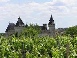 Chateau de Carignan