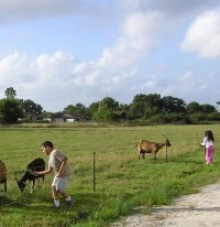 La Chèvrerie du Lihan à Soulac