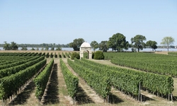 Vignobles en Haute-Gironde