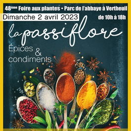 foire-aux-plantes-la-passiflore-vertheuil 2024