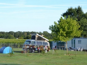 Camping à la ferme Les Deux Ânes en Gironde