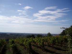 vue sur Bordeaux depuis Bouliac