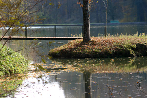 L'étang de Caumont