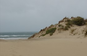 La Dune de l'Amélie